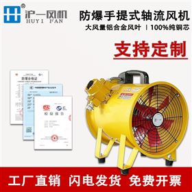250mm防爆手提风机 移动式排风扇 沪一